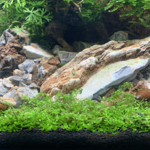 Publication de Niko72460