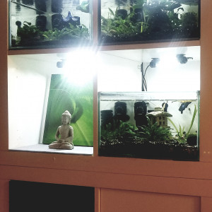 Publication de Lulu82