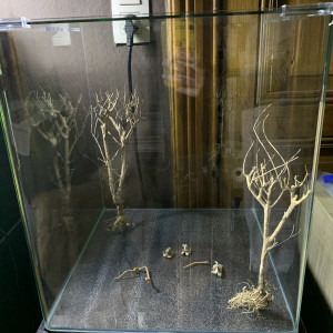 Publication de AudreyR