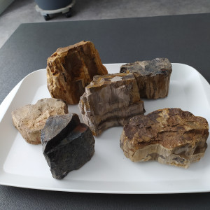 Publication de Kamelot