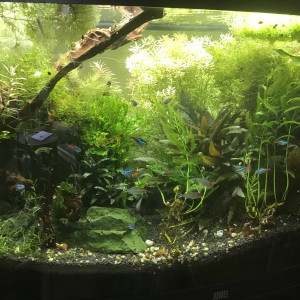 Publication de Stef7524