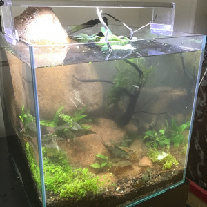 Publication de Stef7524