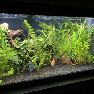 Publication de Juju690