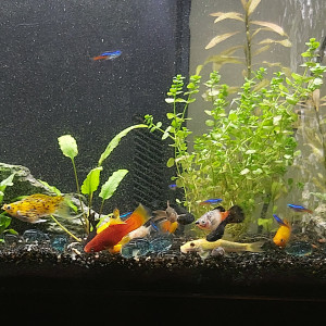 Publication de Yann80