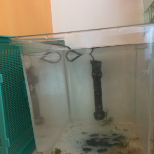 Publication de mmichel20