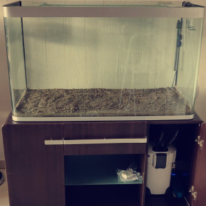 Publication de Oc3ll4ris