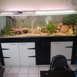 Publication de Loic62