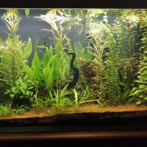 AquaBox