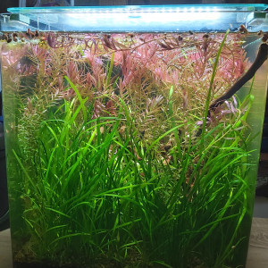 Publication de Yann80