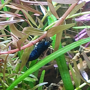 Publication de Yann80