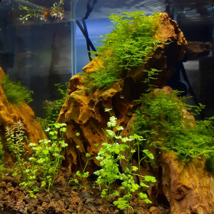 Nano 14 litres