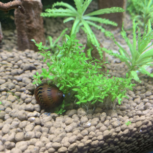 Publication de AudreyR