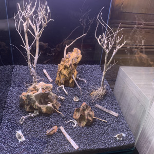 Publication de AudreyR