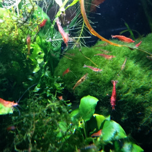 Publication de MarleneMLX