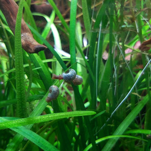 Publication de Yann80