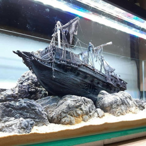 Publication de NakMuay