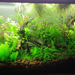 Publication de alexandre-langlois