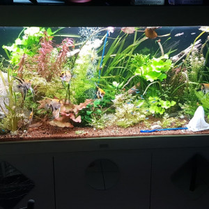 Publication de aurelien-peru