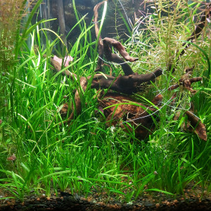 Publication de Yann80