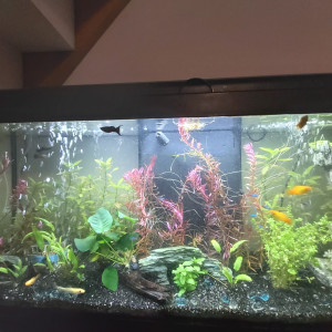 Publication de Yann80