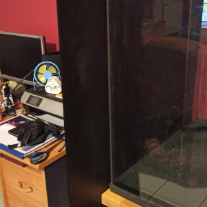 Publication de shanganagh-takhisis