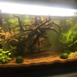 Publication de audrey-ls