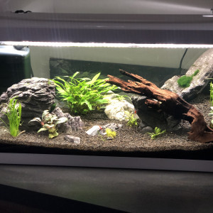 Aquarium 1