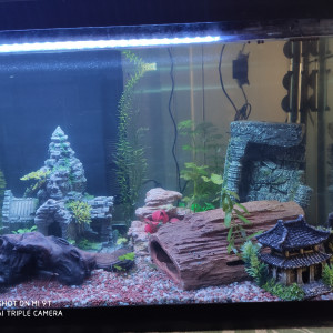 Publication de jerome-blanquart