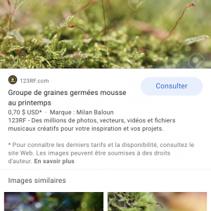 Publication de Vicking182