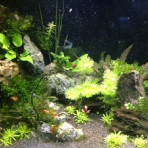 Publication de germain696