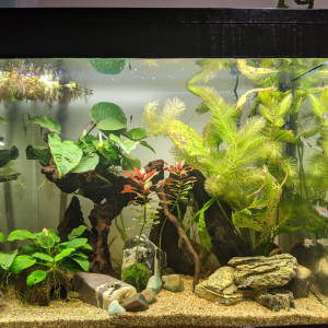 Publication de Eosss