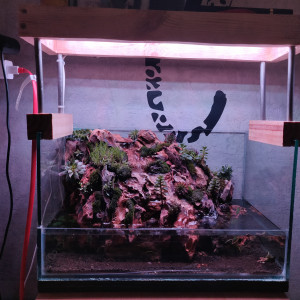 Paledarium