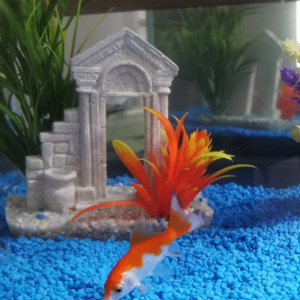 Publication de dams-soa