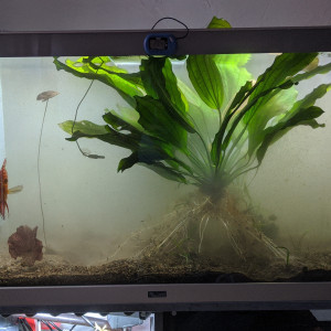 Publication de Blogui