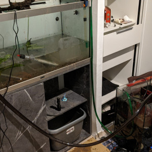 Publication de Blogui