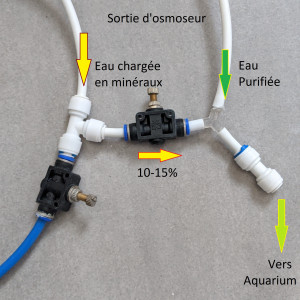 Publication de Blogui