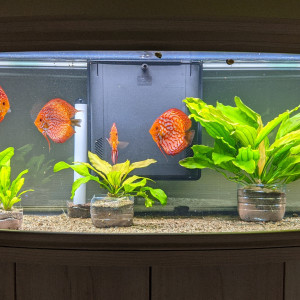 Publication de Blogui