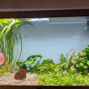 Publication de Blogui