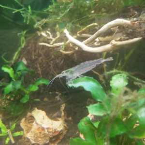 Publication de Cicam83