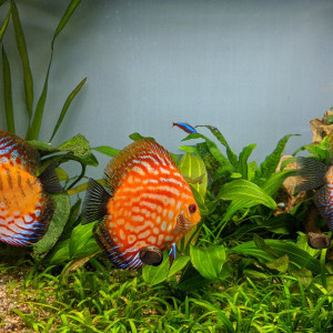 Publication de Blogui