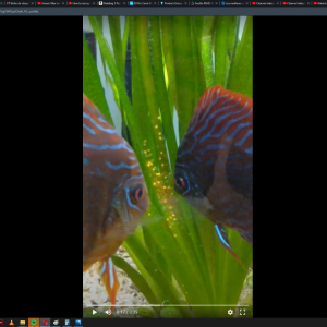 Publication de Blogui