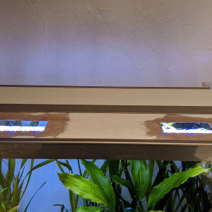 Publication de Blogui