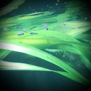 Publication de Lulu82