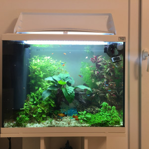 Publication de Gigibebou