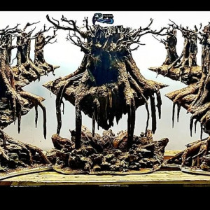 Publication de NakMuay