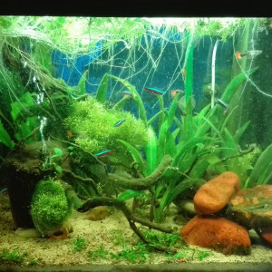 Mon LIDO 120