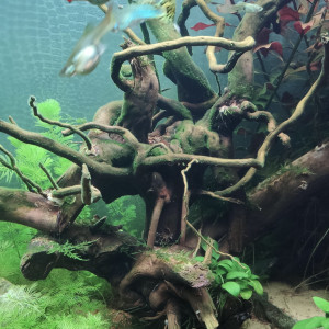 Publication de TortueGeniale91