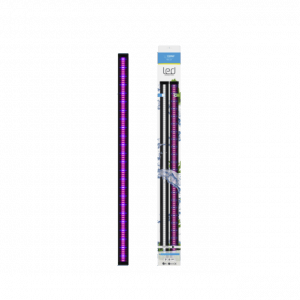 Publication de Yakiiz