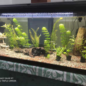 Publication de jerome-blanquart