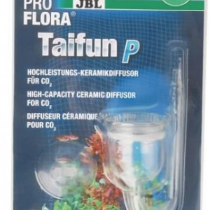 Publication de Sebsoul